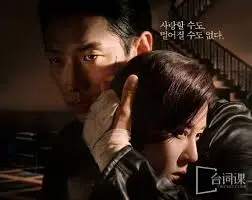 《红天鹅》：电子竞技的极致魅力与青春梦想的飞扬，一场关于拼搏与荣耀的视听盛宴